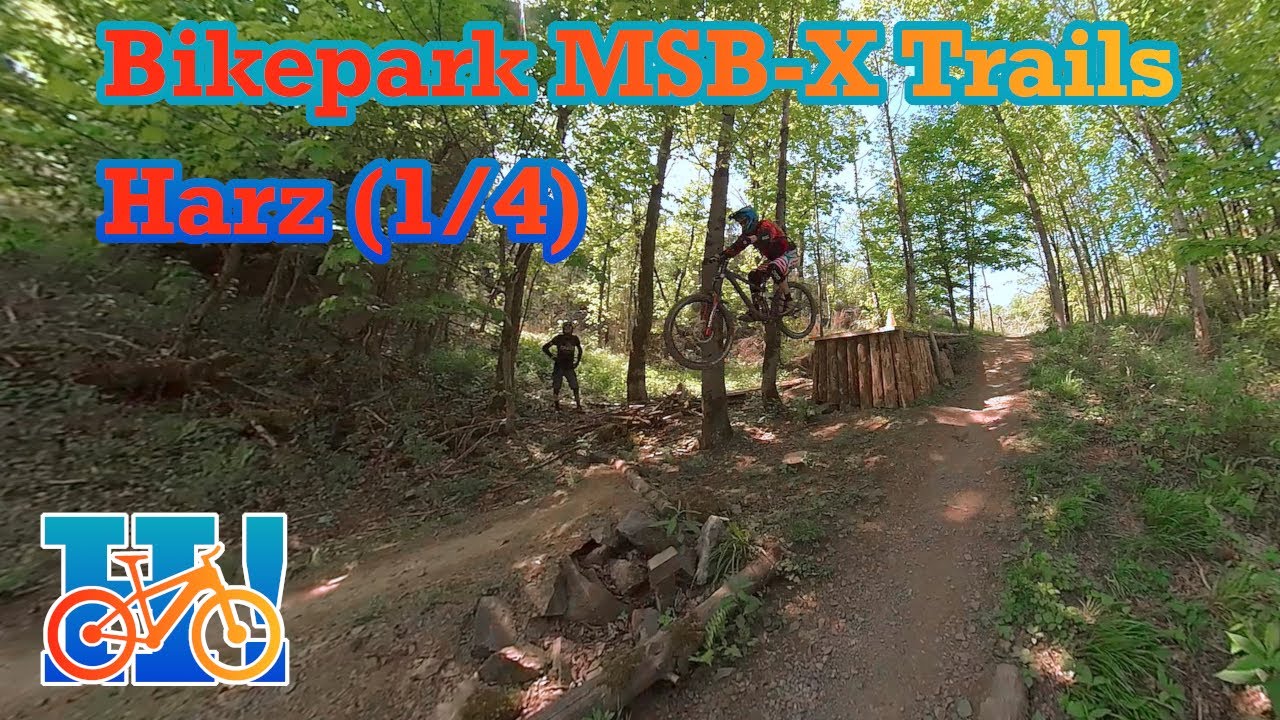 MSB X-trails. | Идеальный парк для новичков.