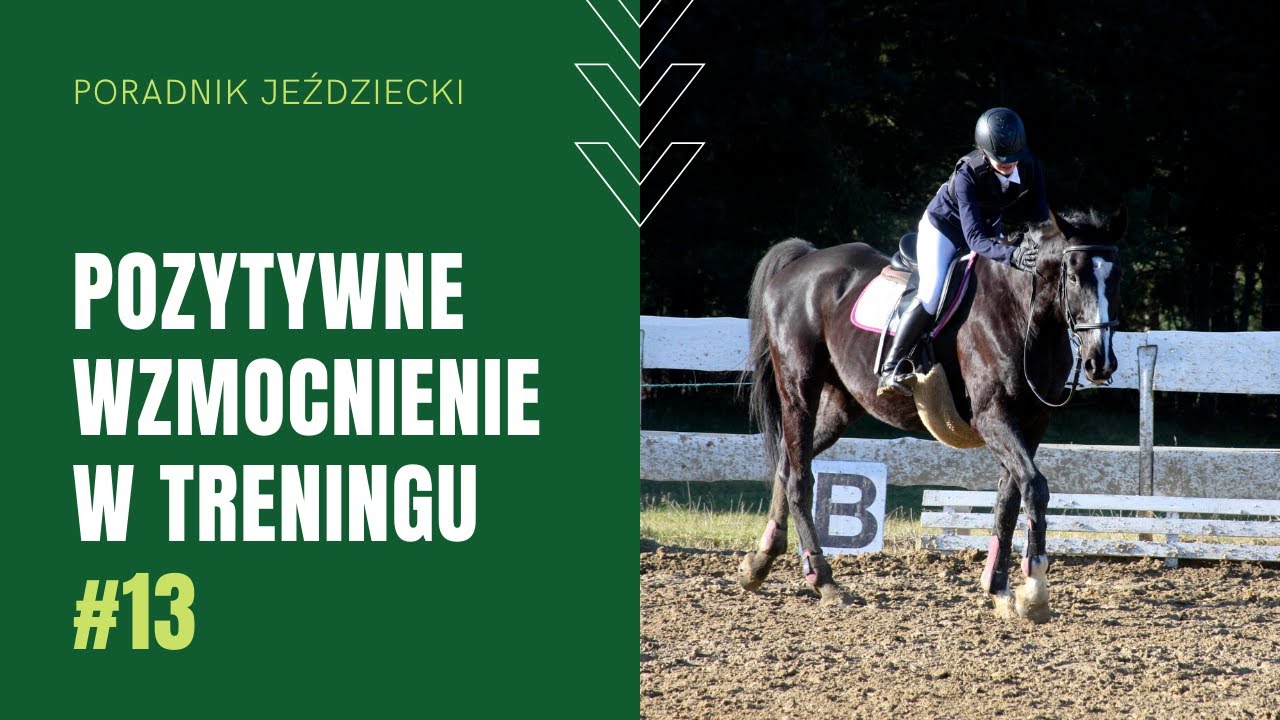 POZYTYWNE WZMOCNIENIE W TRENINGU | Poradnik jeździecki #13
