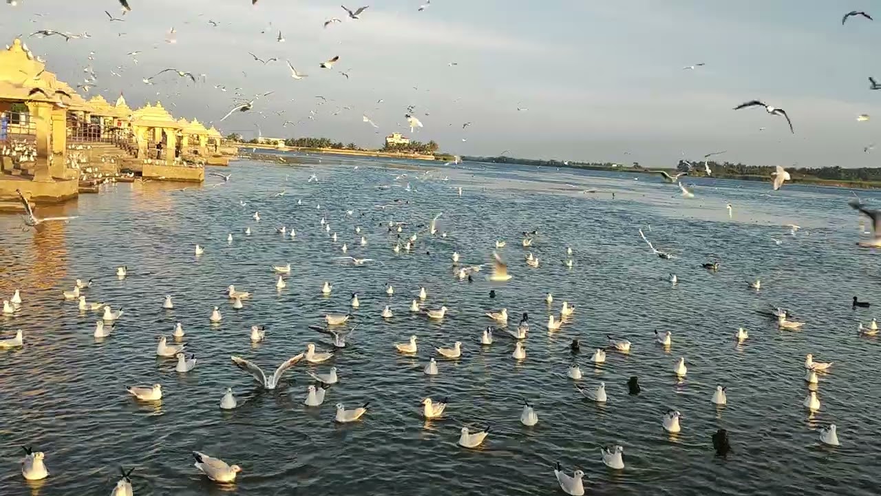 Gomti ghat Dwarka