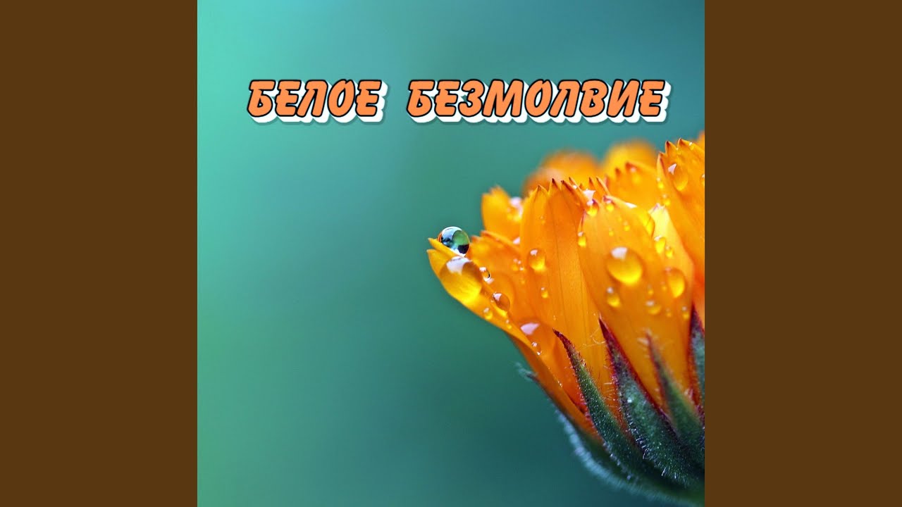 БЕЛОЕ БЕЗМОЛВИЕ