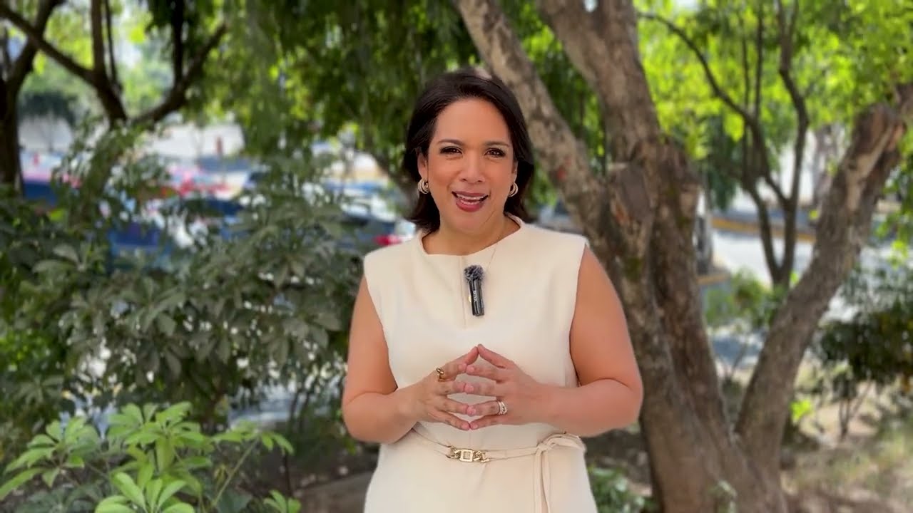 ¡Bienvenidos a Clases Jaguares! 🐯🎓