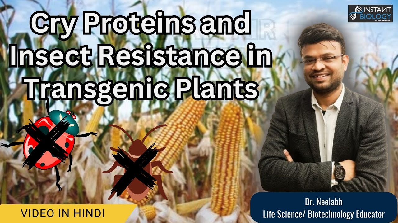 Cry Proteins and Insect Resistance in Transgenic Plants || #transgenic #plant  #biotechnology