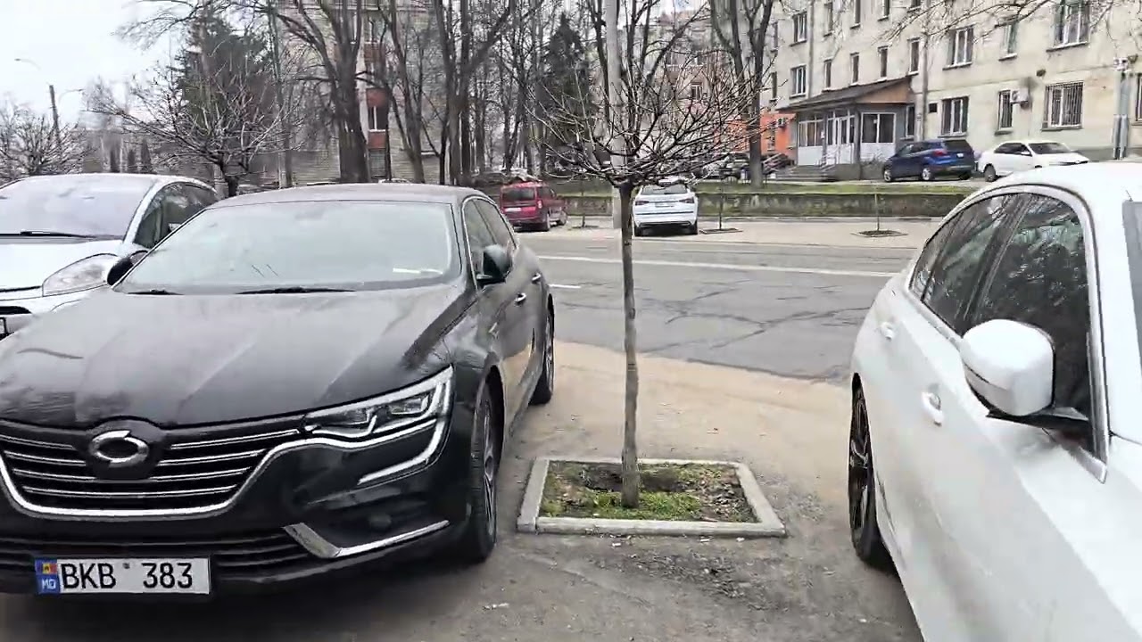 Кишинёв.Утром на ул.Киев. Рышкановка 2.03.2026