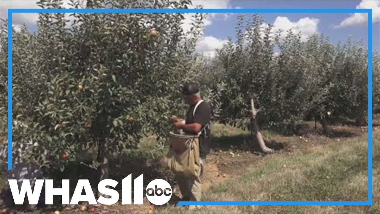 What impact will a drought have on Kentucky farms?