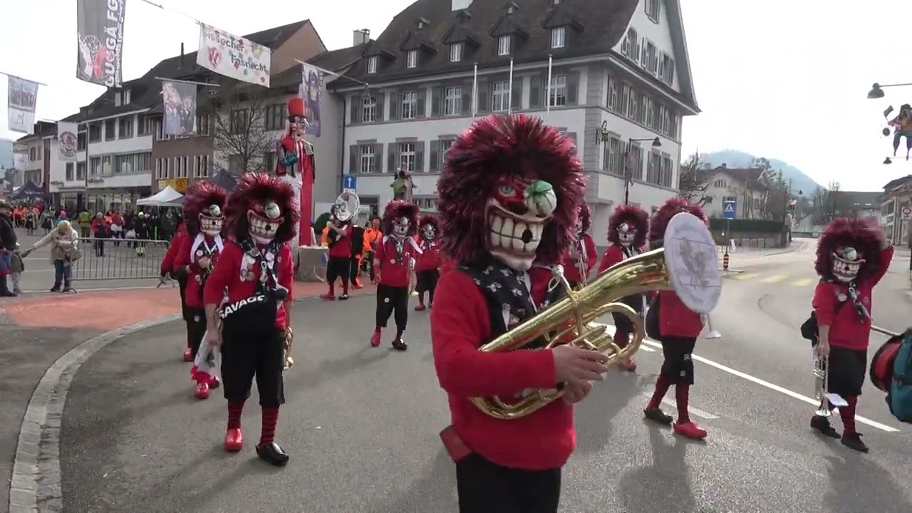 Moskito Würger Diepflingen - Sissacher Fasnacht 18.02.2024
