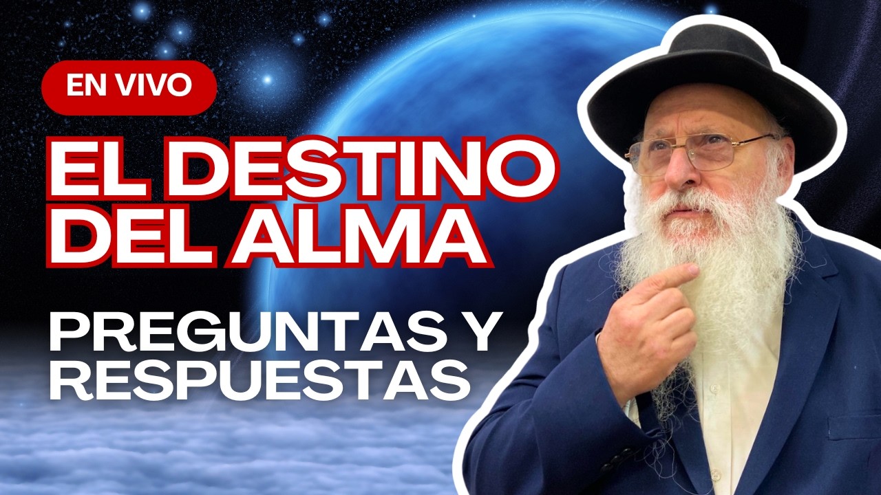 PREGUNTAS Y RESPUESTAS EN VIVO
