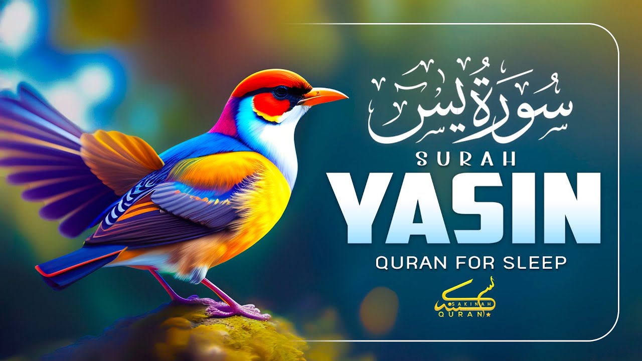 Surah Yasin (Yaseen) سورة يس | Powerful Quran Revcitation for Mercy, Barakah & Calmness #surahyaseen