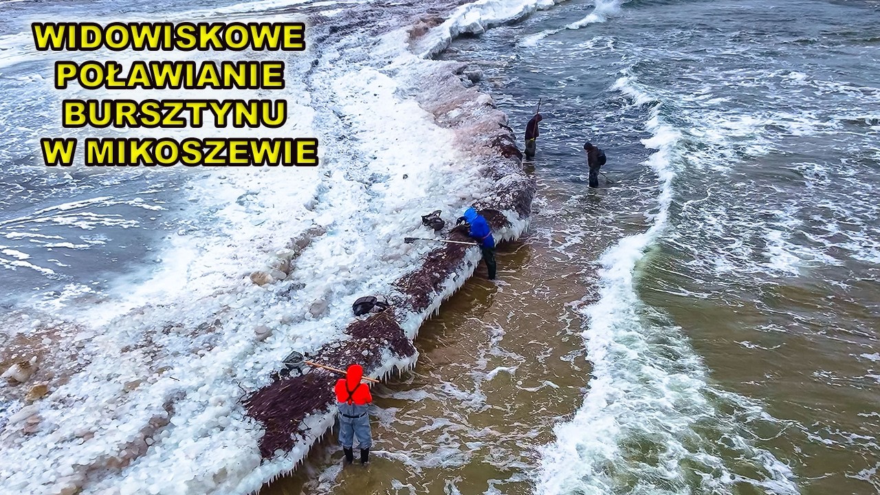 Widowiskowe poławianie bursztynu w Mikoszewie.30.1.2026 bursztyniarze walczą z falami.