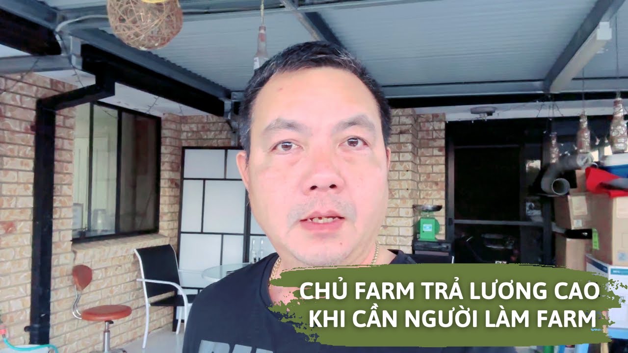 LÀM NÔNG NGHIỆP LƯƠNG CAO LÀ CÓ THẬT HAY NỔ ? SAO NGƯỜI ÚC KHÔNG ĐI LÀM FARM ?