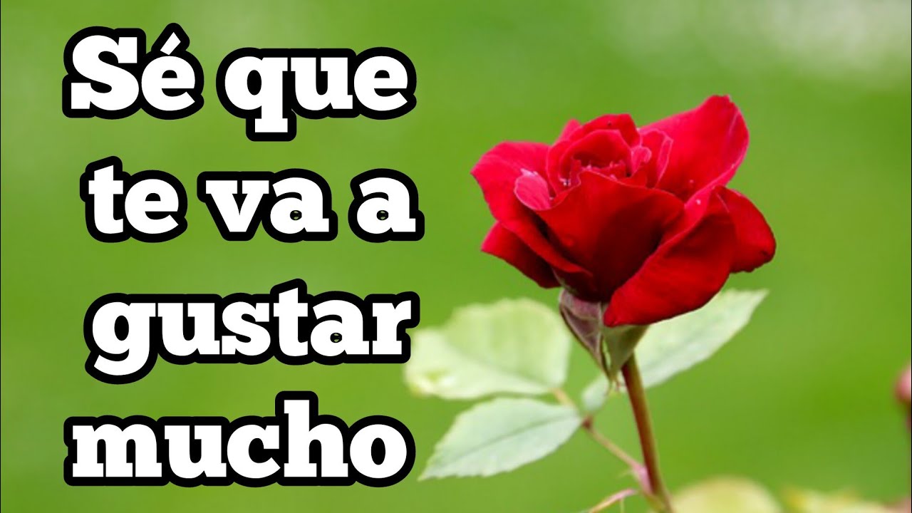 Sé que te va a gustar mucho