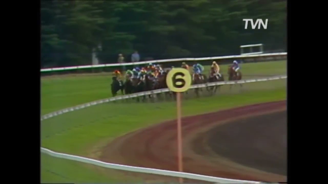 1983 MELBOURNE CUP - KIWI