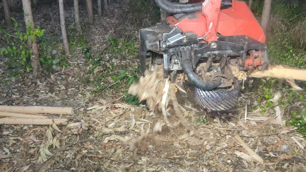 OPERAÇÃO HARVESTER , ABERTURA DE TALHÃO @fernandooperador1082