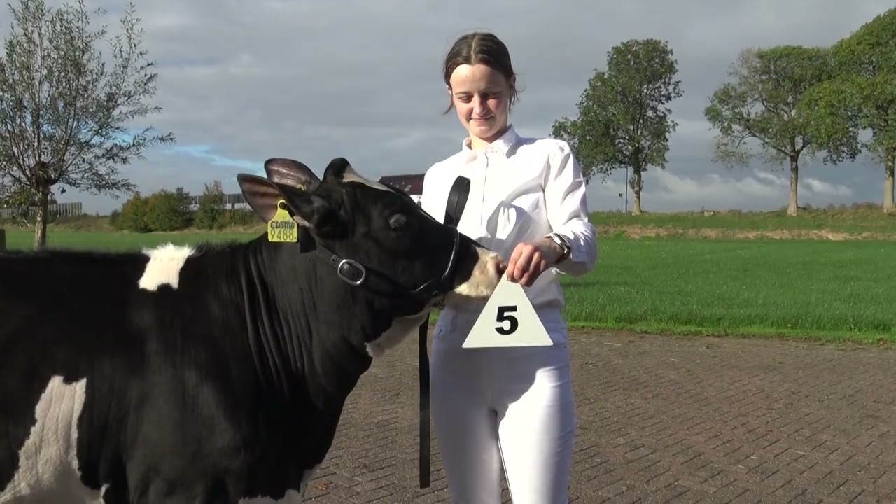 2025 Exterieuroudste met toelichting HD