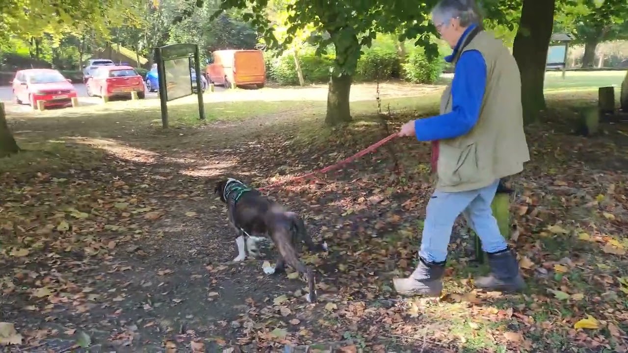 Team Wild, Derby K9 Mantrailing