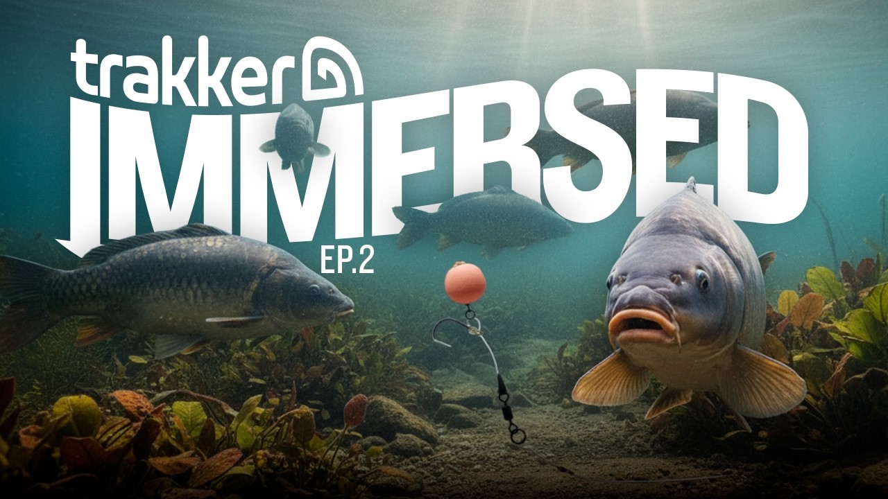 Immersed Ep.2 | See below the depth with Frank Warwick & Forbidden Routes | Underwater Fishing