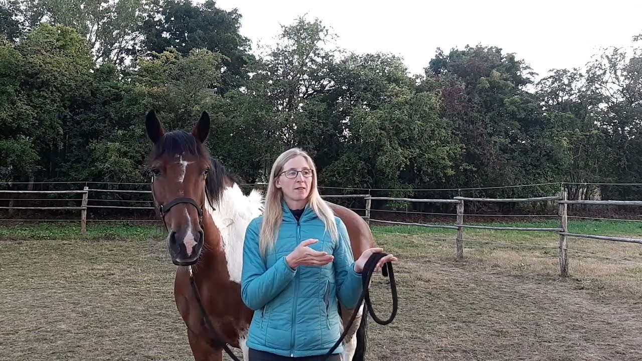 Fristy, cheval qui fait demi-tour, cabre et embarque