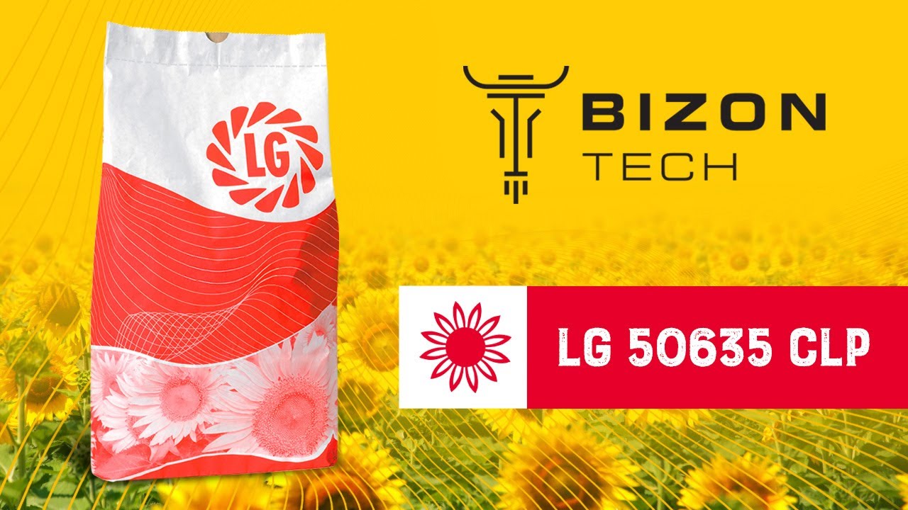 Огляд на гібрид соняшнику ЛГ 50635 КЛП (LG 50635 CLP) Limagrain