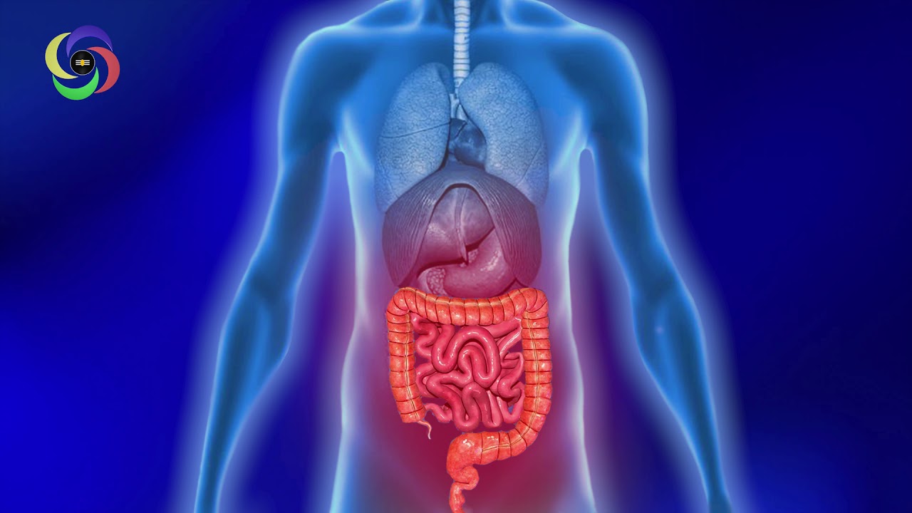 BInaural Stomach Colon Treatment Music, Delta Energy Vibration of 2.67 HZ | Digestive System Cure