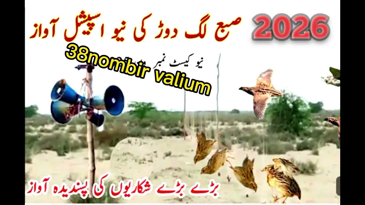 Quil sound subha ka liy