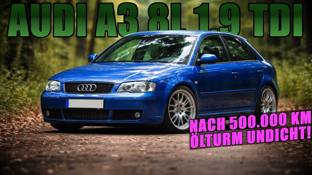 Ölkühler / Öl Turm nach 500.000 KM undicht! Audi VW Seat Skoda VAG 1.9 TDI #car #tutorial #viral