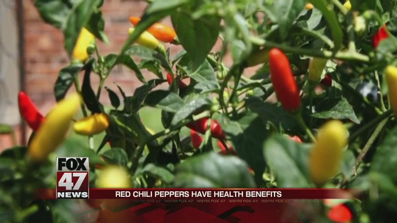 Red chili peppers have health benefits