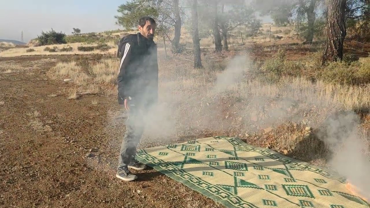 25 Kasım 2025 MERGİMIRİ 