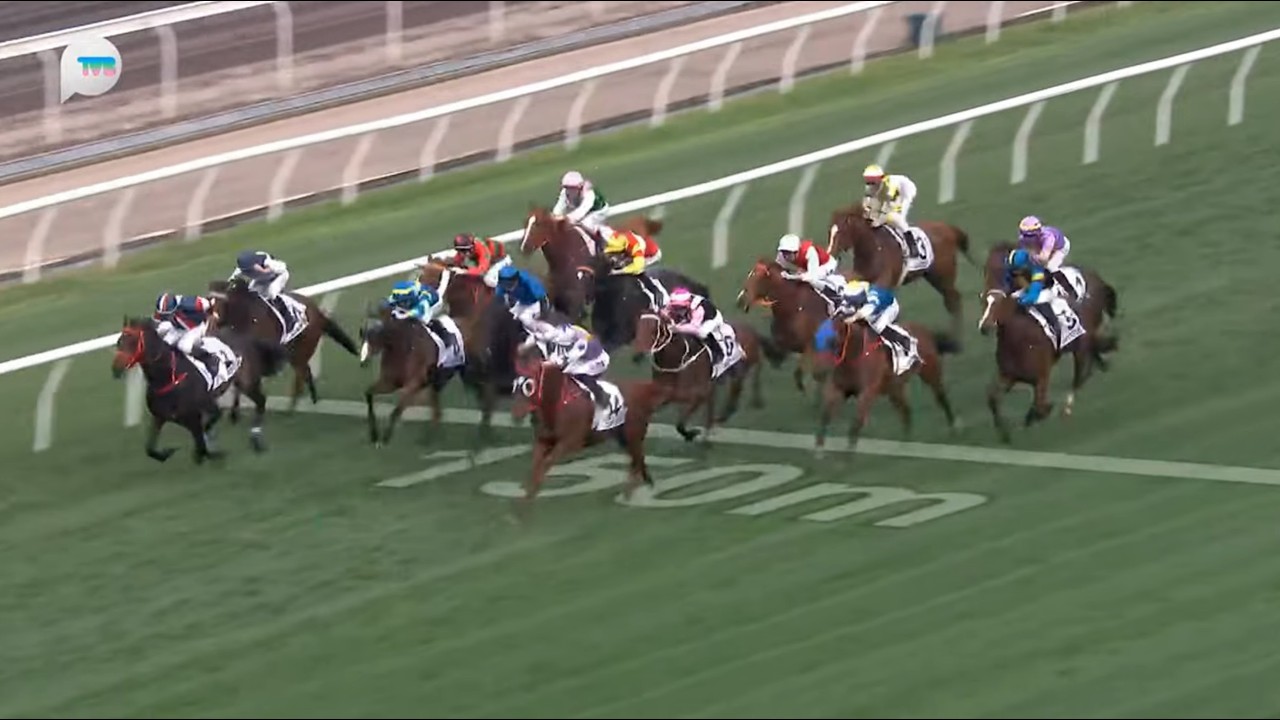 HKJC香港經典盃 Hong Kong Classic Cup 一級賽 G1 1800m 2026-03-01 紫荊盛勢 STORMY GROVE 沙田馬場 Shatin Racecourse