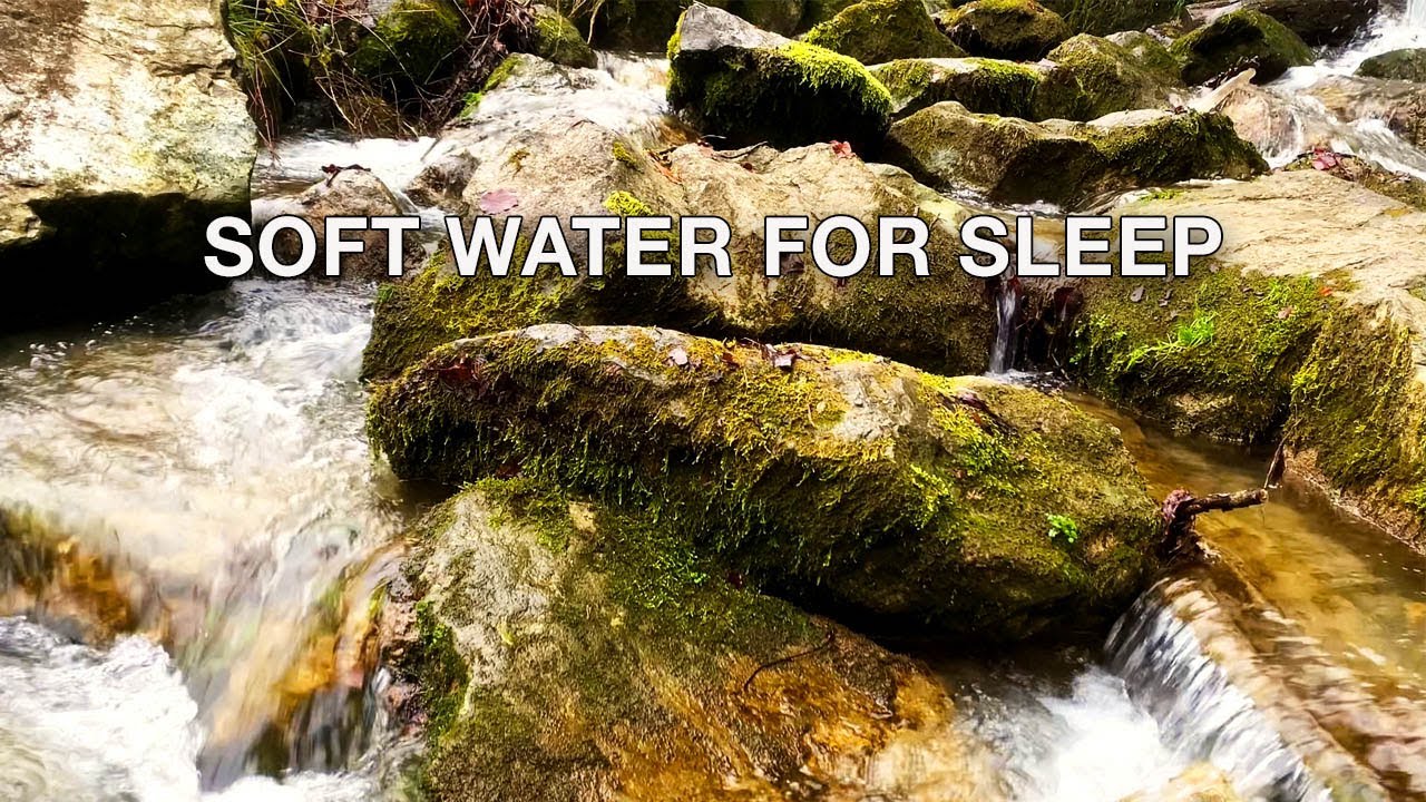 Deep Sleep Stream Sounds – 2 Hours of Gentle Water Flow Over Mossy Rocks | ASMR