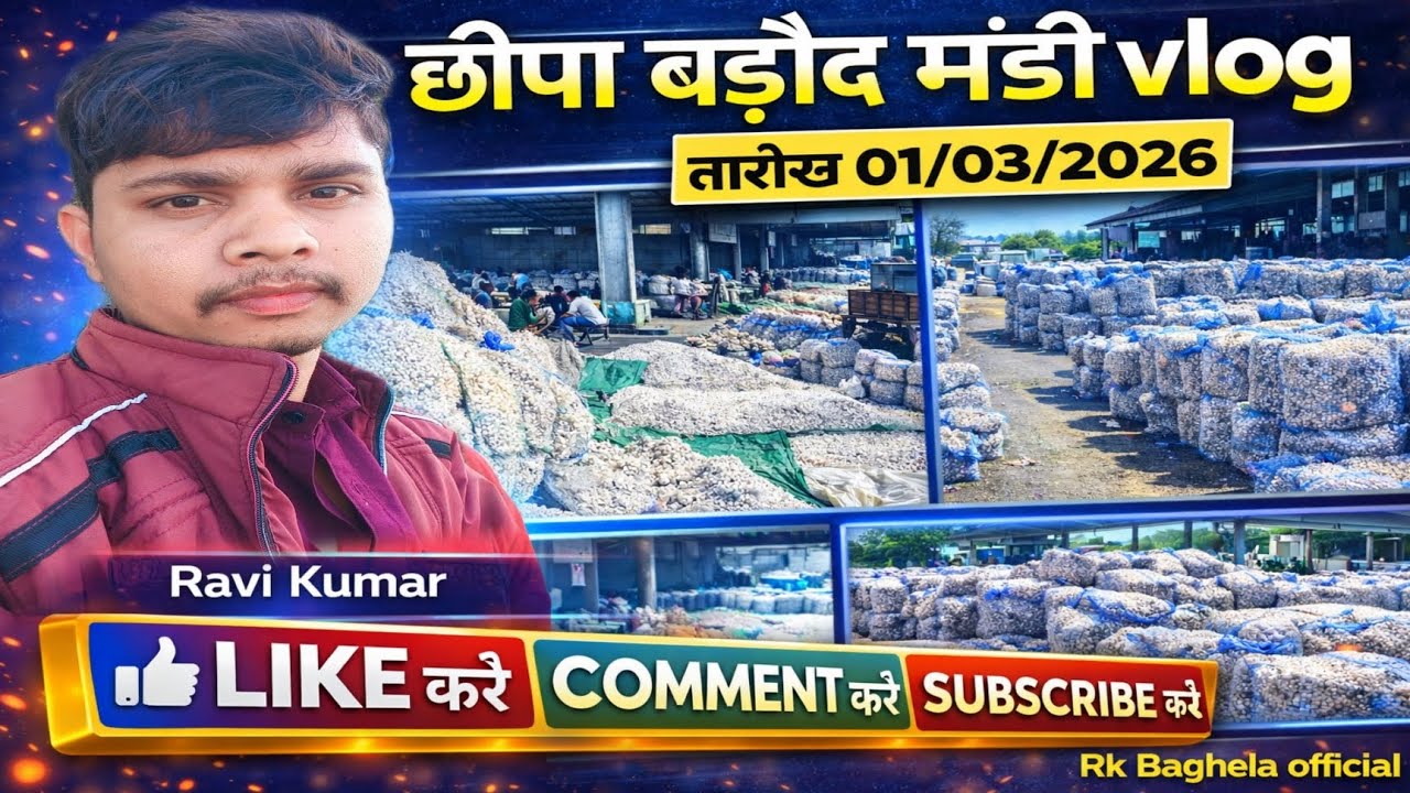 छीपा बड़ौद लहसुन मंडी आज का हाल  | Rajasthan Famous Garlic Market Vlog | RK Baghela Official