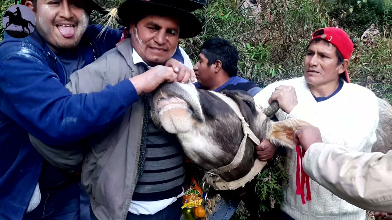 SANTIAGO EN PAUCARBAMBA HUANCAVELICA / FM. PACHECO HUMAREDA. VIDEO # 03