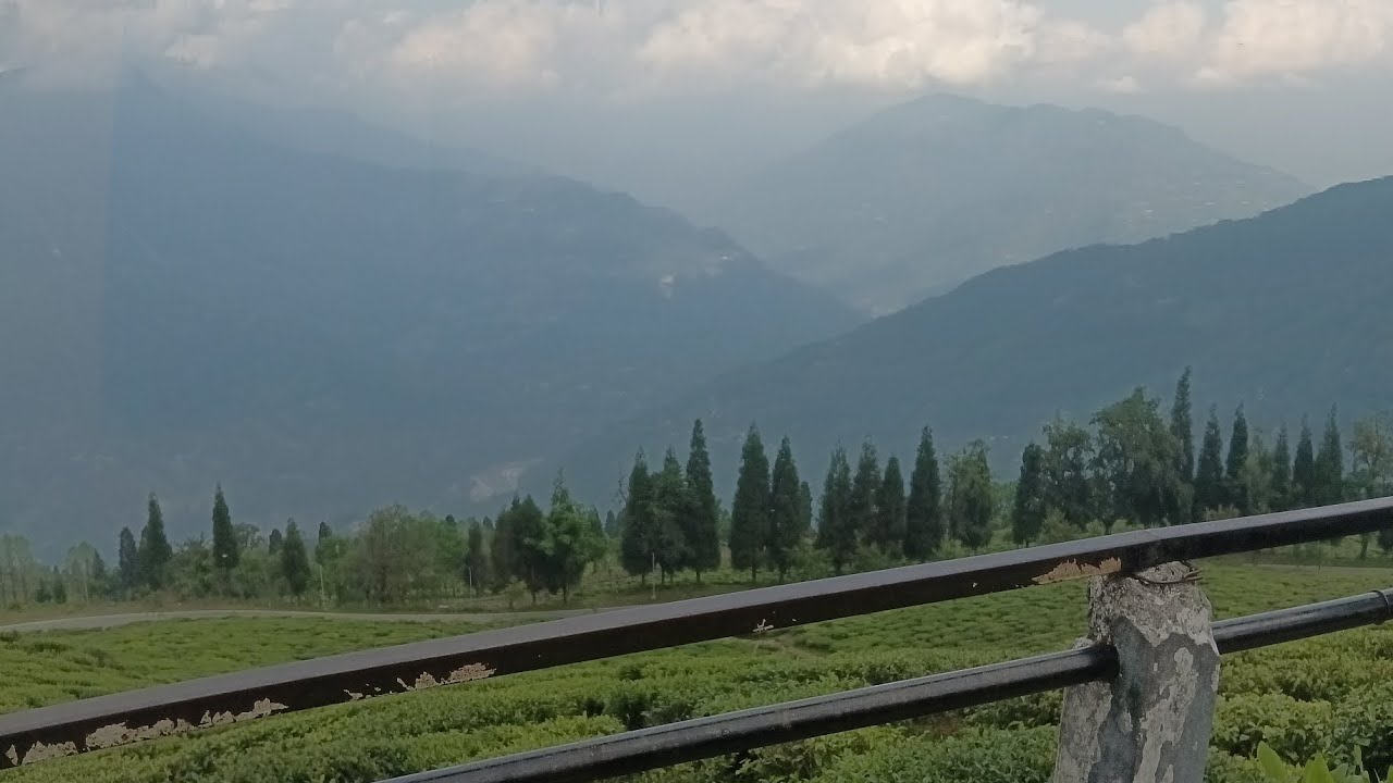 😍Temitea garden 🏡| south Sikkim | Sikkim tourism| most beautiful😍 tea garden|