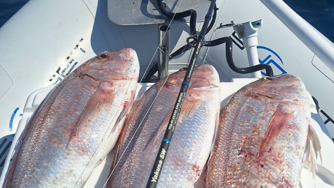 KRUNAŠI NA ZIVU LIGNJU