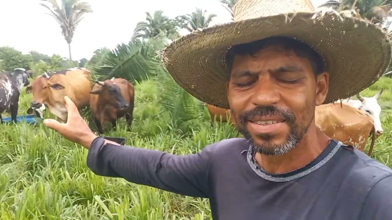 Impossível crescer com leite a pasto