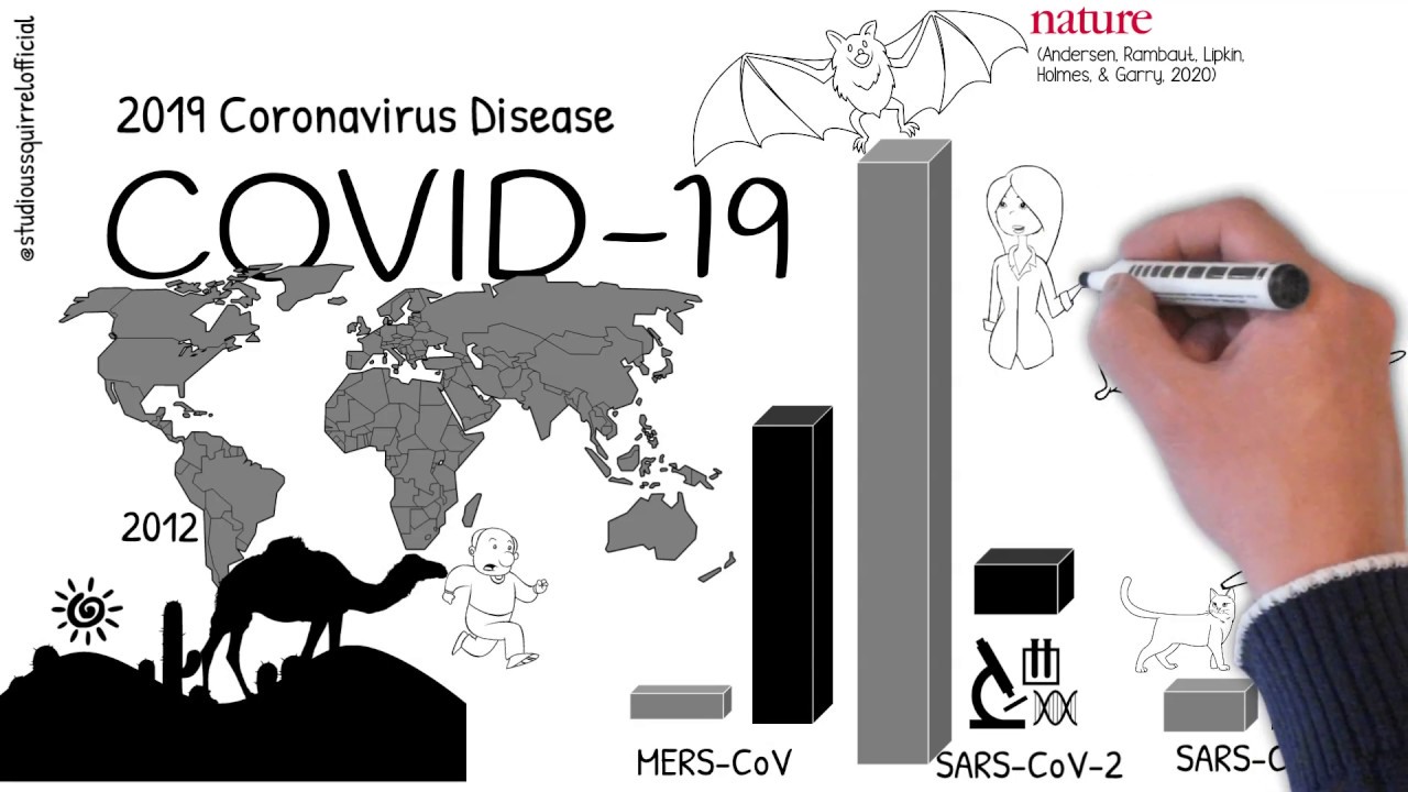 The Coronavirus Family Explained (SARS, MERS, COVID-19 and Why Not All of Them are Scary)