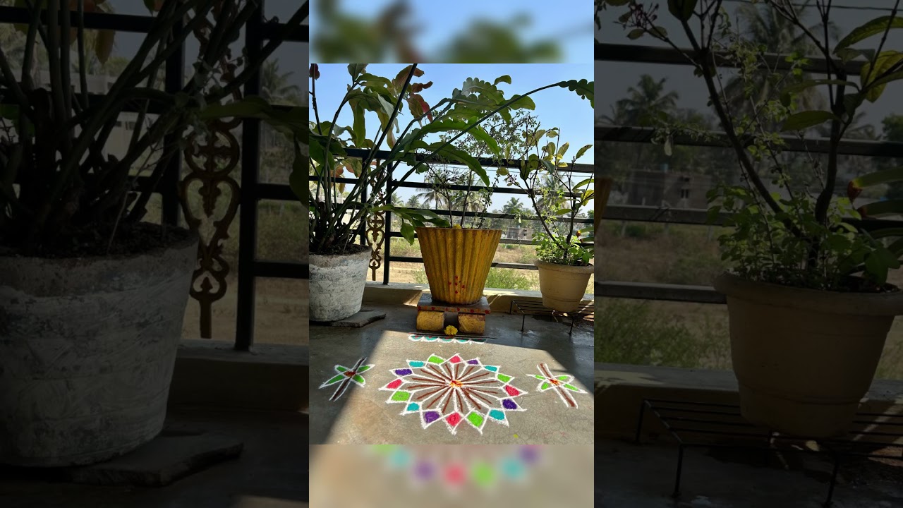 Rangoli compilation🎨 #southindian  #culture  #ytshorts  #viral  #rangoli