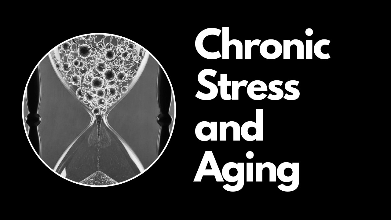 Why Stress is Literally Shrinking Your Brain (And How to Stop It)