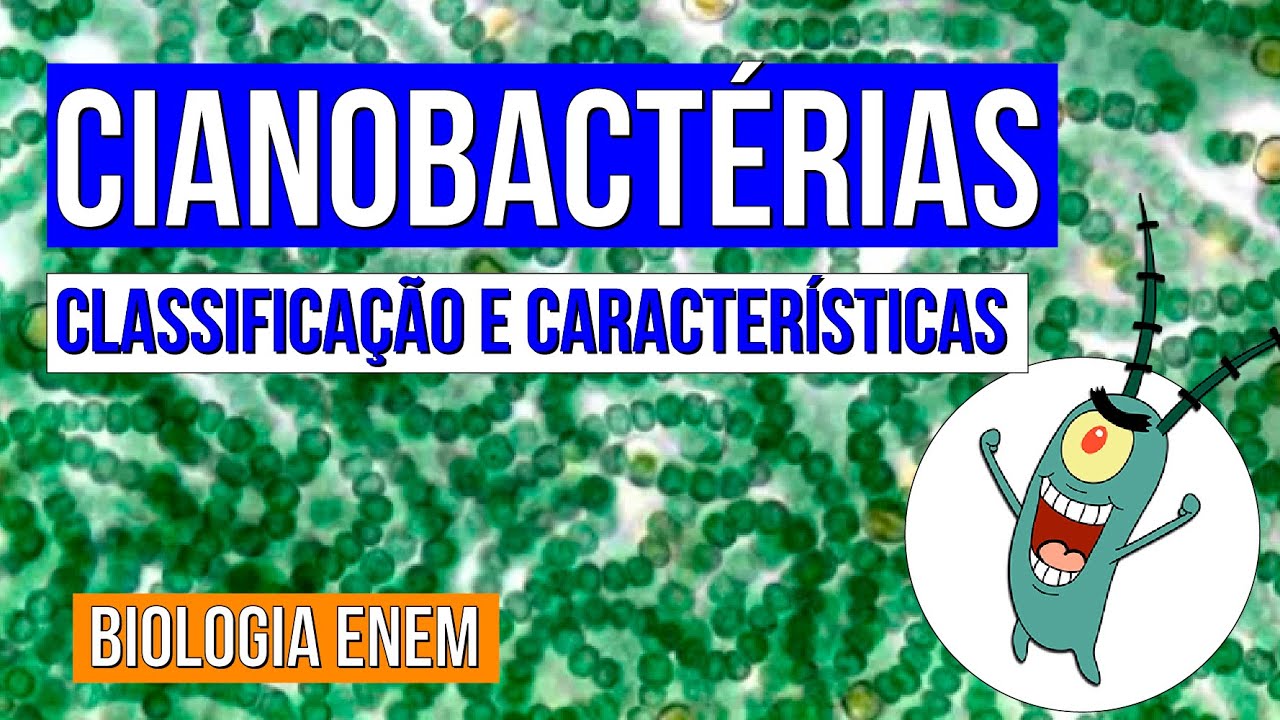 CIANOBACT&Eacute;RIAS: classifica&ccedil;&atilde;o e caracter&iacute;sticas | Resumo de Biologia para o Enem | Cl&aacute;udia Aguiar