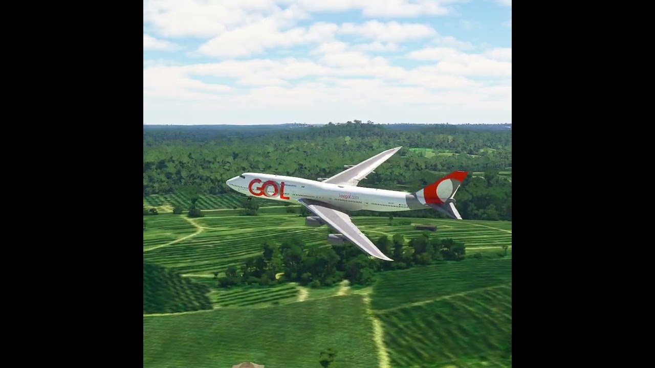 the carelessness of an airplane pilot 0249