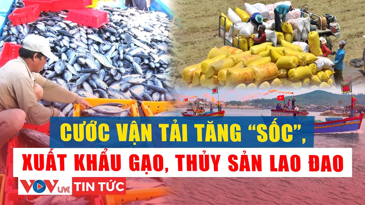 Cước vận tải tăng 
