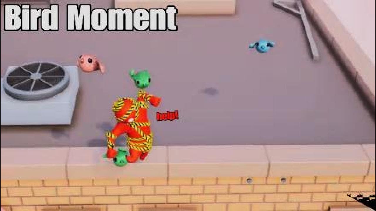 Bird funnee.