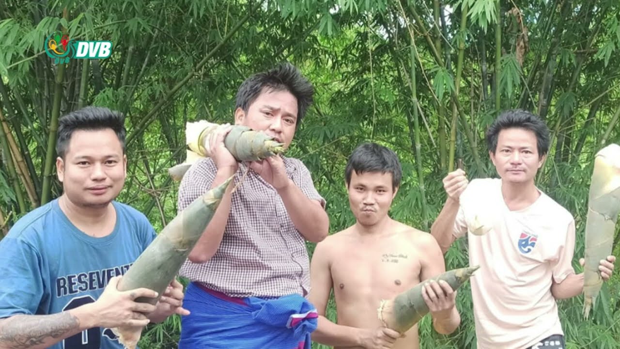 နွေဦး သုခုမ Teahouse - ဟားငါးကောင် (အပိုင်း ၁)