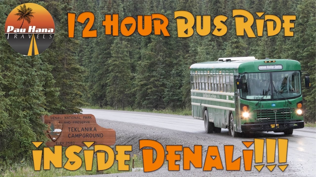 Rving Alaska: Exploring Denali on a Green Bus in search of Grizzlies, Caribou and more