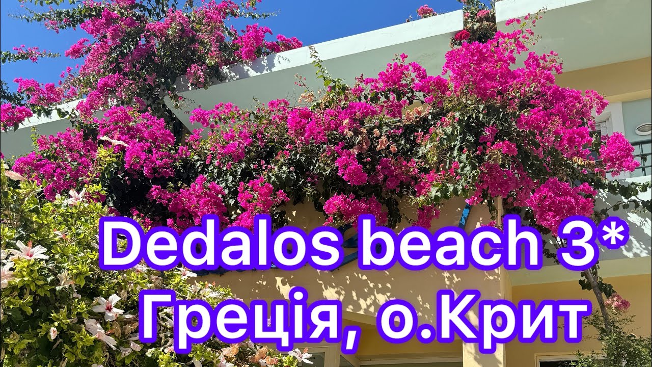 Dedalos Beach 3*, Греція, о. Крит. Бюджетний готель для невибагливого відпочинку на першій лінії 