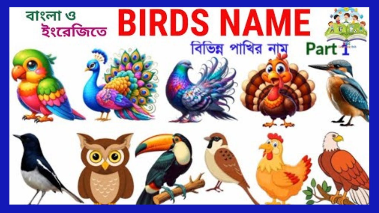 Birds Name | Birds Name in English | Basic English Learning | পাখির নাম @Shahanazkidsschool
