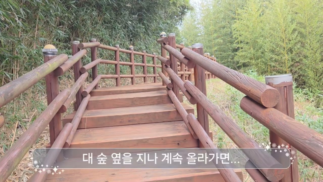 유채꽃이 핀 엉덩물 계곡부터 중문바다까지 