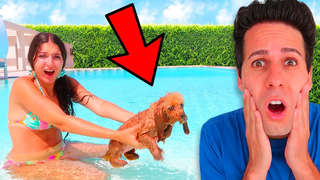 IL NOSTRO CANE CADE IN PISCINA e SCOPRIAMO CHE SA NUOTARE!!