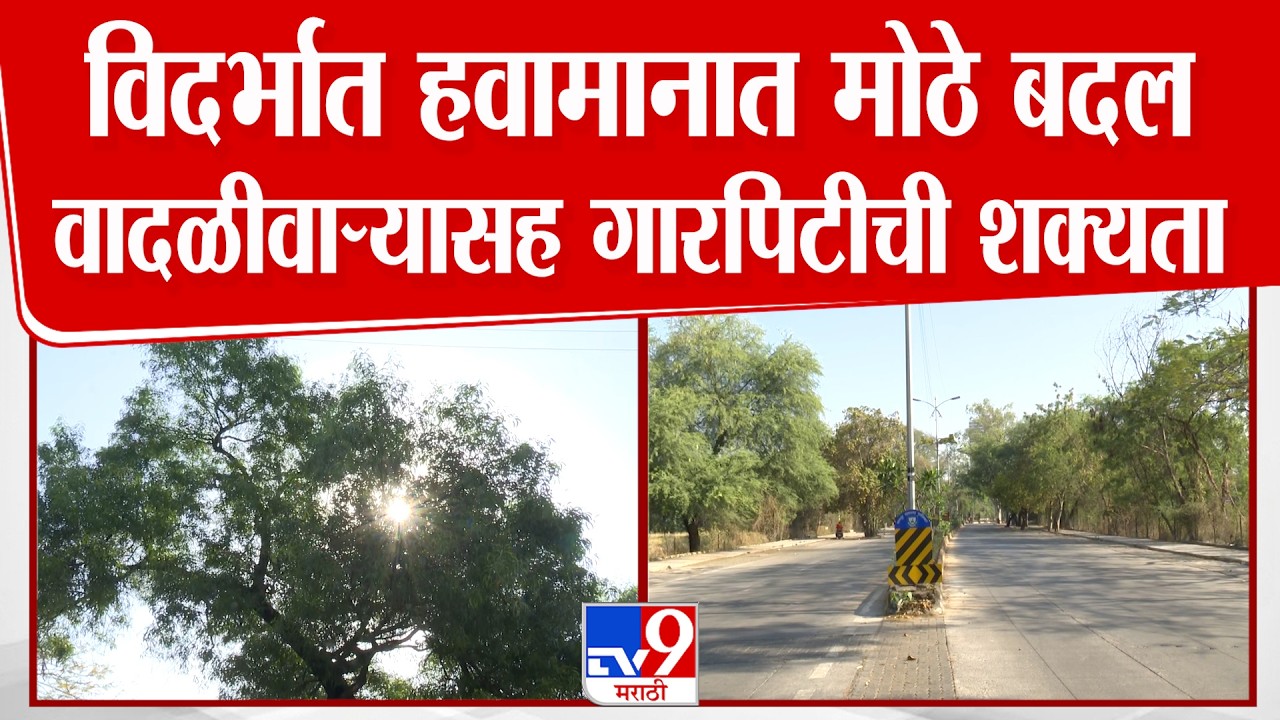 Nagpur Weather Report | विदर्भात हवामानात मोठे बदलवादळीवाऱ्यासह गारपिटीची शक्यता
