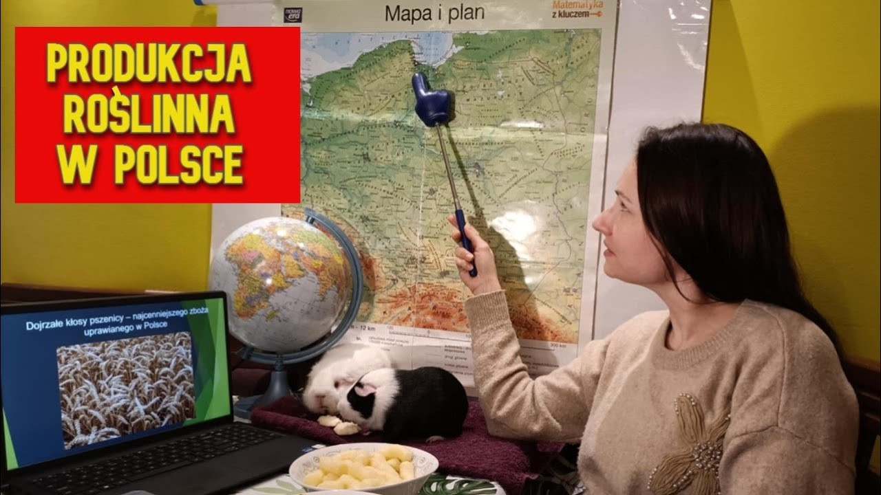 Rolnictwo w Polsce, Produkcja roślinna (geografia - lekcja dla klasy 7)