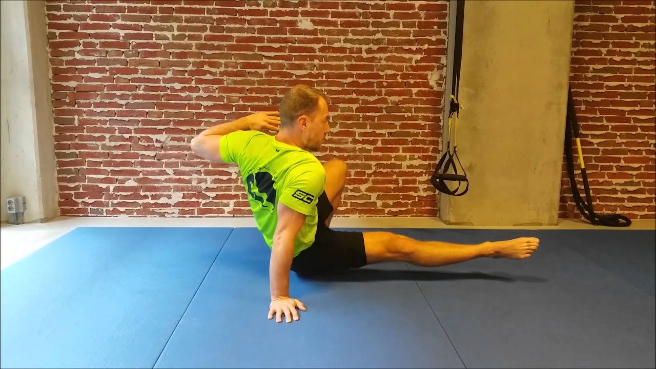 Animal Flow: Switches & Transitions