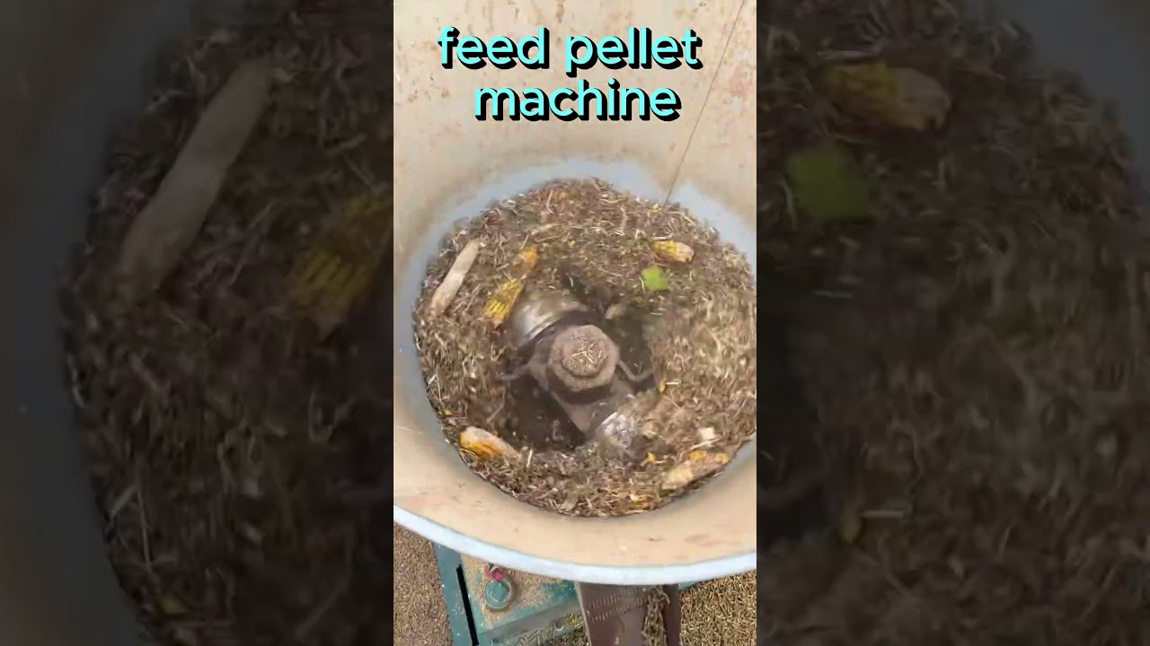 High-Performance Poultry Feed Pellet Machine | 400-500 kg/h#livestockfeed #farm #farmmachinery